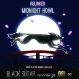 Artwork for "Midnight Howl"