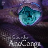 Artwork voor "AnaConga"