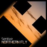 Artwork for "Northern Fly"