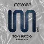 Artwork for "Assimilate"