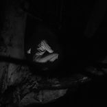 The Anvil & The Hammer