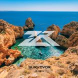 Artwork voor "Survivor"