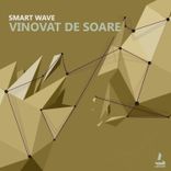 Artwork for "Vinovat De Soare"