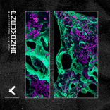 Something That Comes From The Past