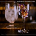 Conversational Gambit