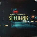 Artwork voor "Seedling"
