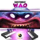 Artwork for "W.A.O"