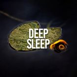 Artwork voor "Deep Sleep"