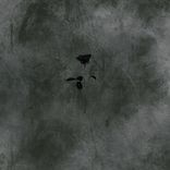 Artwork for "Forget"