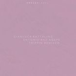 Artwork voor "Trippin Remixed"