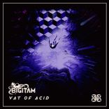 Artwork for "Vat of Acid"