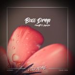 Portada para "Bass Drop"