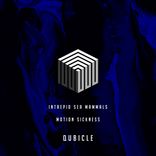 Artwork voor "Motion Sickness"