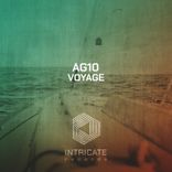 Artwork voor "Voyage"