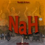 Artwork voor "Nah"
