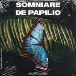 Somniare De Papilio