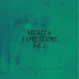 Artwork voor "Vocals & Epressions, Vol. 2"