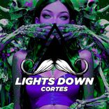 Portada para "Lights Down"