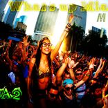 Portada para "Whats Up Miami"