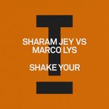 Artwork for "Shake Your"