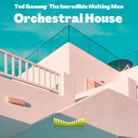 Artwork for "Orchestral House"