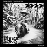 Artwork for "Exquisite Diversion"