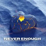 Artwork für "Never Enough"