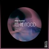 Artwork for "Feel the Mood"