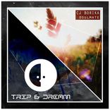 Artwork für "Soulmate"