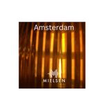 Artwork für "Amsterdam"