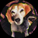 Artwork voor "More Alpha"