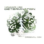 Artwork voor "Determination"
