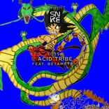 Artwork for "Acid Tribe"