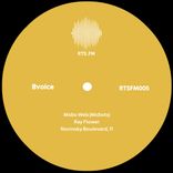 Artwork for "RTSFM005"