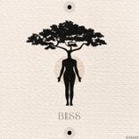 Artwork voor "Bliss"