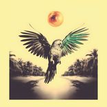 Portada para "Natural"