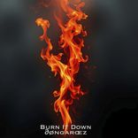 Artwork voor "Burn It Down"