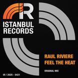 Artwork for "Feel the Heat"