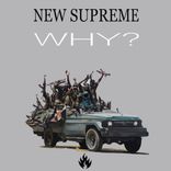 Portada para "Why?"