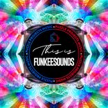 Portada para "THIS IS FUNKEESOUNDS"