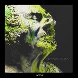 Portada para "Electric Vibes"