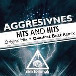 Artwork voor "Hits & Hits"