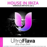 Artwork voor "House in Ibiza, Vol. 2"