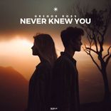 Artwork voor "Never Knew You"