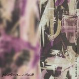 Artwork voor "Into the Desert"