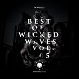 Artwork for "Best Of Wicked Waves, Vol. 05"