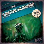 Artwork for "Flowstone Salamander (Original Mix)"