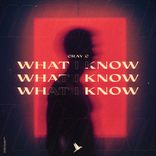 Artwork for "What I Know"