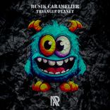 Artwork voor "Triangle Planet"