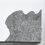 Artwork for "Pinecone Moonshine Vector Space"